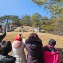 영월-36