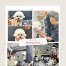 데이,그룸 이미지