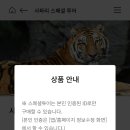 에버투어 이미지