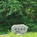 산솔면-8(목우산 등산로 입구) | 망경대산 자연휴양림 (숲이 쉼이었다)
