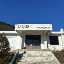 청주 근교 일상화 글램핑 애견동반 내돈내산 솔직후기