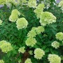 장양5리 경로당 이미지