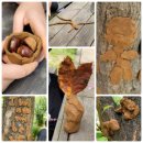 정목초교 이미지