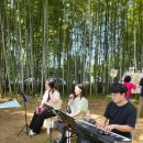 선율이 흐르는 그림 이미지