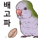 오늘부터애간장 이미지