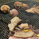 포도밭 댕댕이 펜션 | 가평 반려견 동반 카라반 펜션 포도밭 댕댕이 후기 : 강아지 운동장, 바베큐 정보