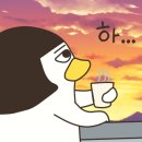 봉황고등학교 이미지