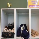 약지애견카페 서창점 이미지