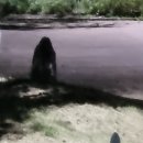 덕연(주) 신암농장 | 팔팔올림픽