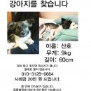 잠전초등학교 이미지