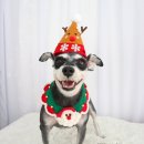 그루멍(groomung) 이미지