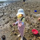 뚝길따라 | 남해 갯벌체험 비교 아이랑 꽃내갯벌체험장 바지락 물때 준비물