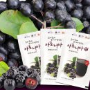 김규백 티스토리
