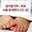 다섯발가락 이미지