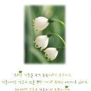 자연음악 - 가제오 메그르 이미지