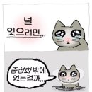 씨유 서면마루점 | 089. (개)뜨거운 열정으로 다시태어나