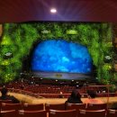 여주글라스스토리 | 2026.01.31 센과 치히로의 행방불명 실사 뮤지컬 연극 후기