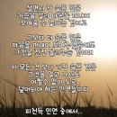 피천득 인연 중에서... 이미지