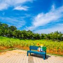 국화황토공원 이미지