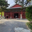 해태인력 | 동대문 투어 코스2_백남준을 기억하는집 & 동묘와 동묘벼룩시장