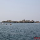 승치도 Daum백과