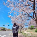 강서구-30 이미지