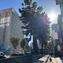 부전백세약국 이미지