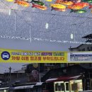 2025 선등거리페스티벌(차없는거리) 네이버블로그