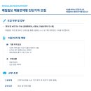 매일일보 채용연계형 인턴기자 모집 이미지