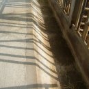 순한농장 이미지