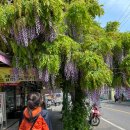 설첨마라하우스 부천소사점 이미지