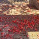 진주횟밥집 | 23.12.01~23.12.06(진주, 서울, 대전)