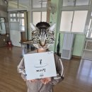 <쩌저적> 이서우 작가와의 만남 | [수업일기] 0325