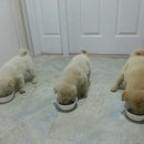 제주민박 이미지