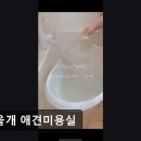 26470-01-21-353 | (수원, 강아지, 고양이, 애견미용, 추천!) 씻을개 애견미용실 수원 애견미용, 믿을 수 있는 곳