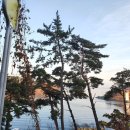 동진횟집 이미지