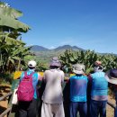 순식농장 이미지