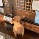 슬기로운팩토리