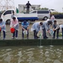 공공용 27 이미지