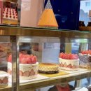 파파레브 이미지