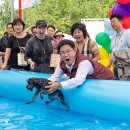 댕댕이루 이미지