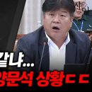 국회의원 양문석의 의정활동 이미지