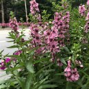 명상과 스트레칭 요가(주말) 이미지