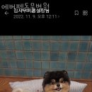 에버펫동물병원 이미지