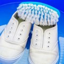 동화세탁 이미지