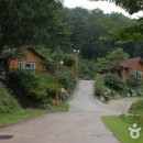 봉수산자연휴양림 이미지