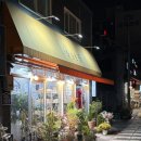 알로애꽃집 | 대구 가성비 꽃집 추천 크리스마스 트리 집들이 선물 화분 구매 후기