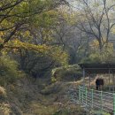 수평목장 이미지