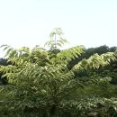 고향농장 이미지