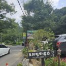 드리밍하우스 | [★★] 아이들 놀기 좋은 계곡있는 가성비 펜션, 광주퇴촌 드리밍하우스펜션 후기